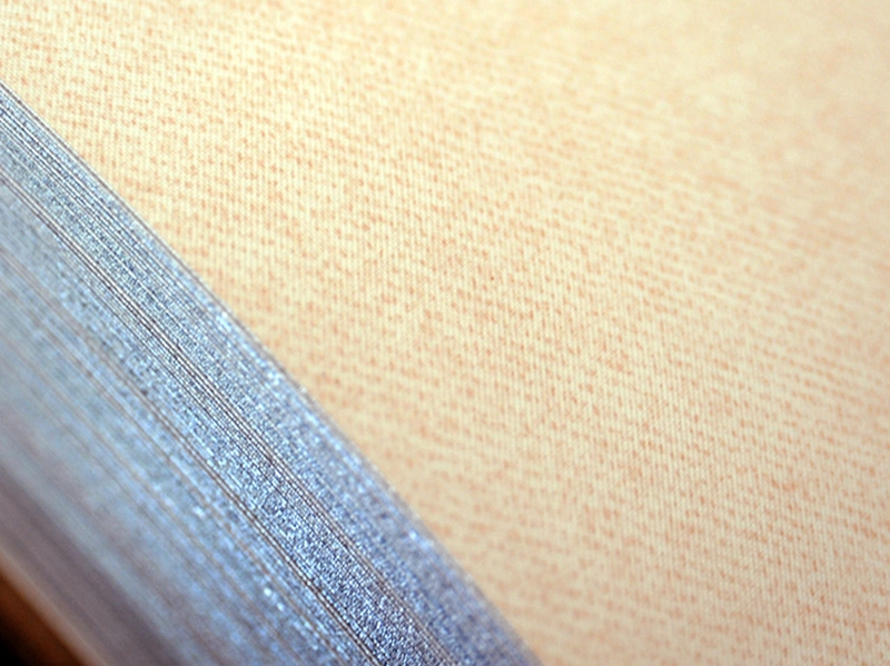 Color Coated Steel Sheets